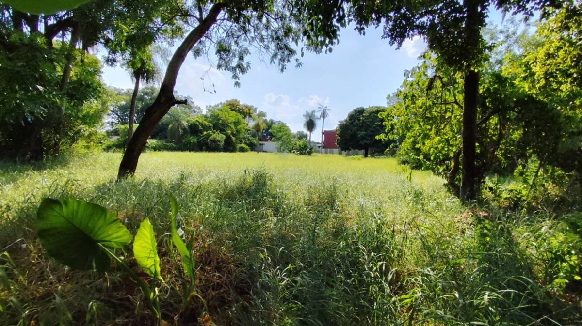 Terreno en venta en Luque