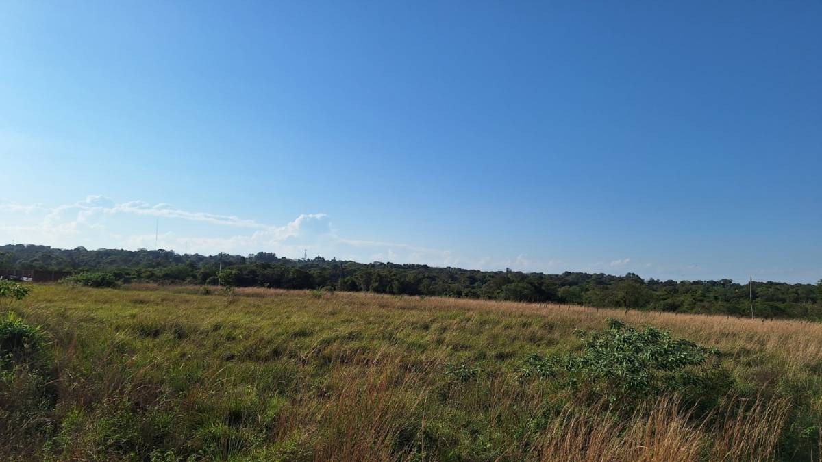 Terreno en venta en Encarnacion