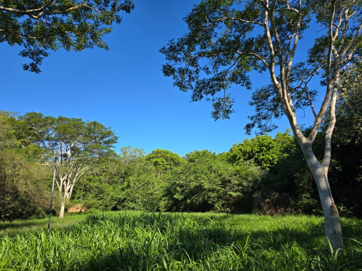 Terreno en venta en Surubii
