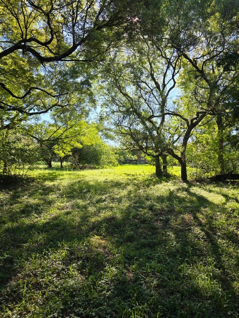 Terreno en venta en Surubii