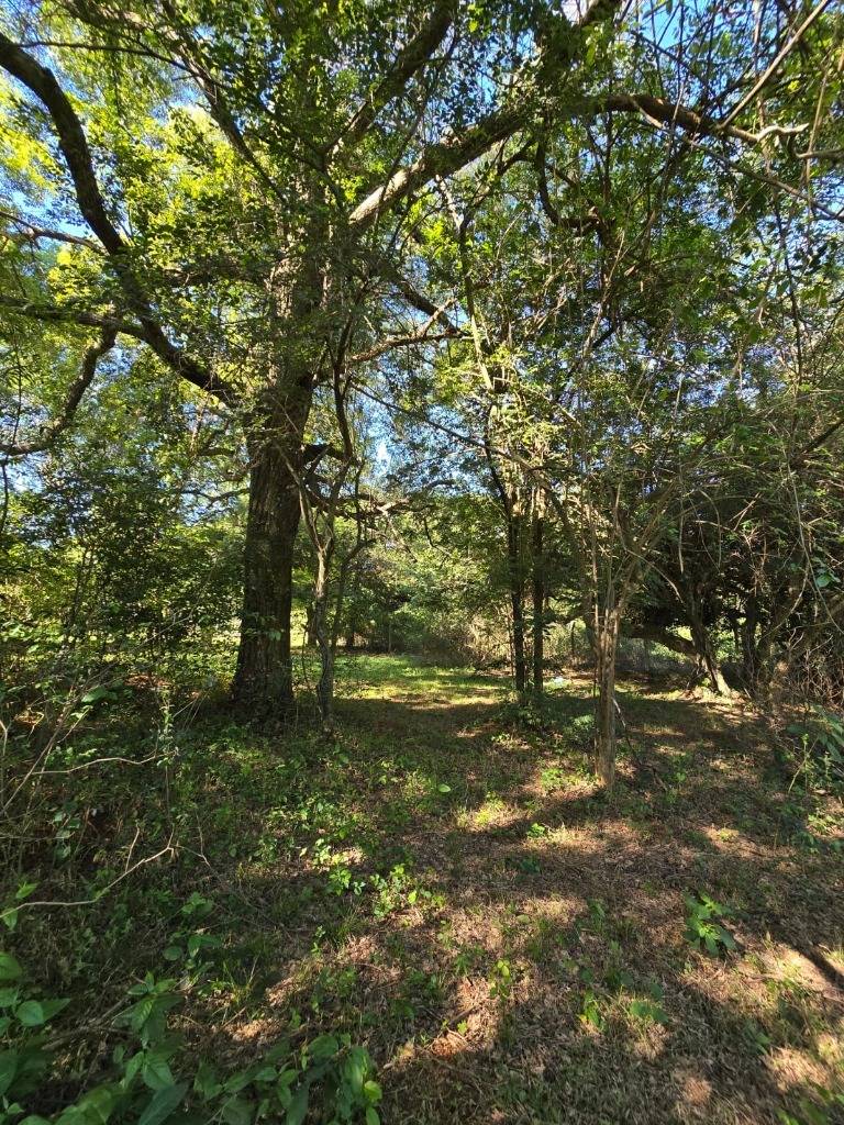 Terreno en venta en Surubii