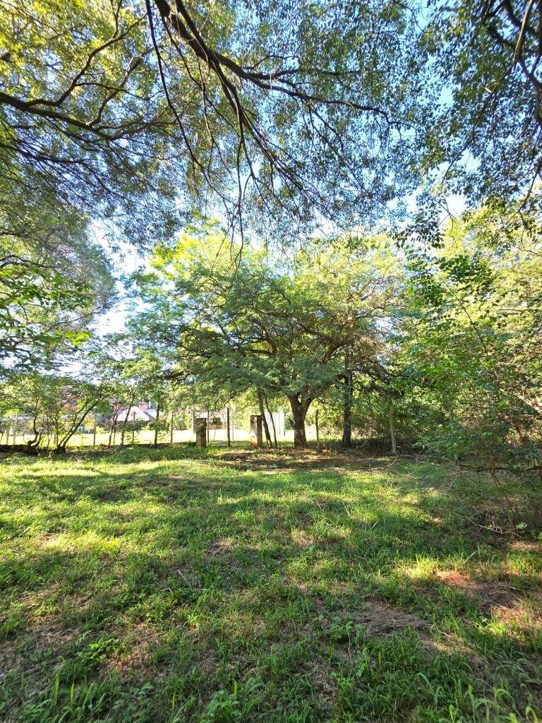 Terreno en venta en Surubii