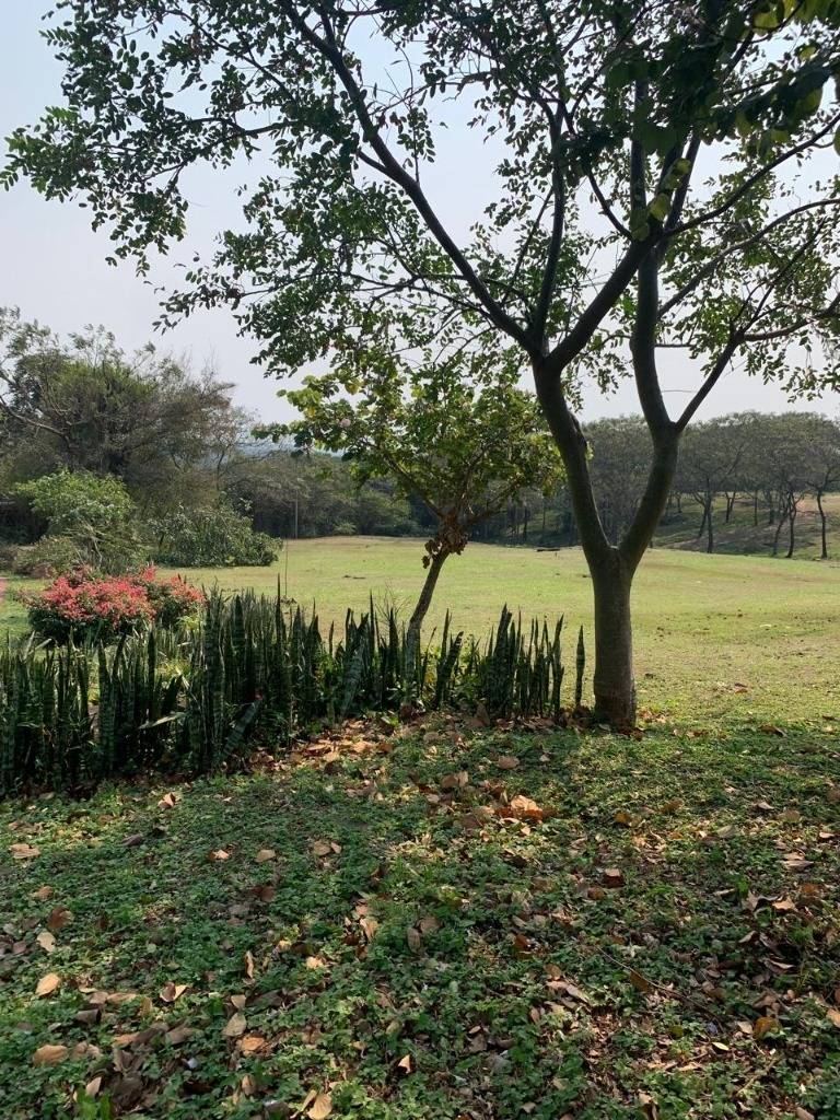 Terreno en venta en San Bernardino