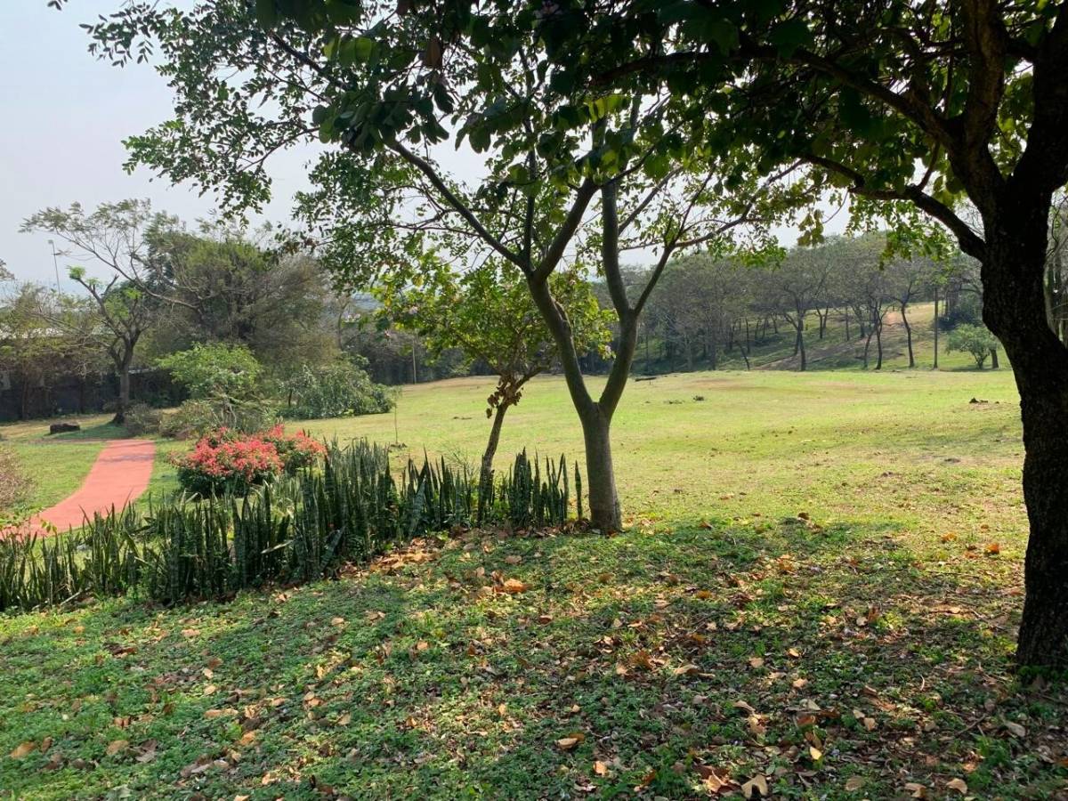 Terreno en venta en San Bernardino