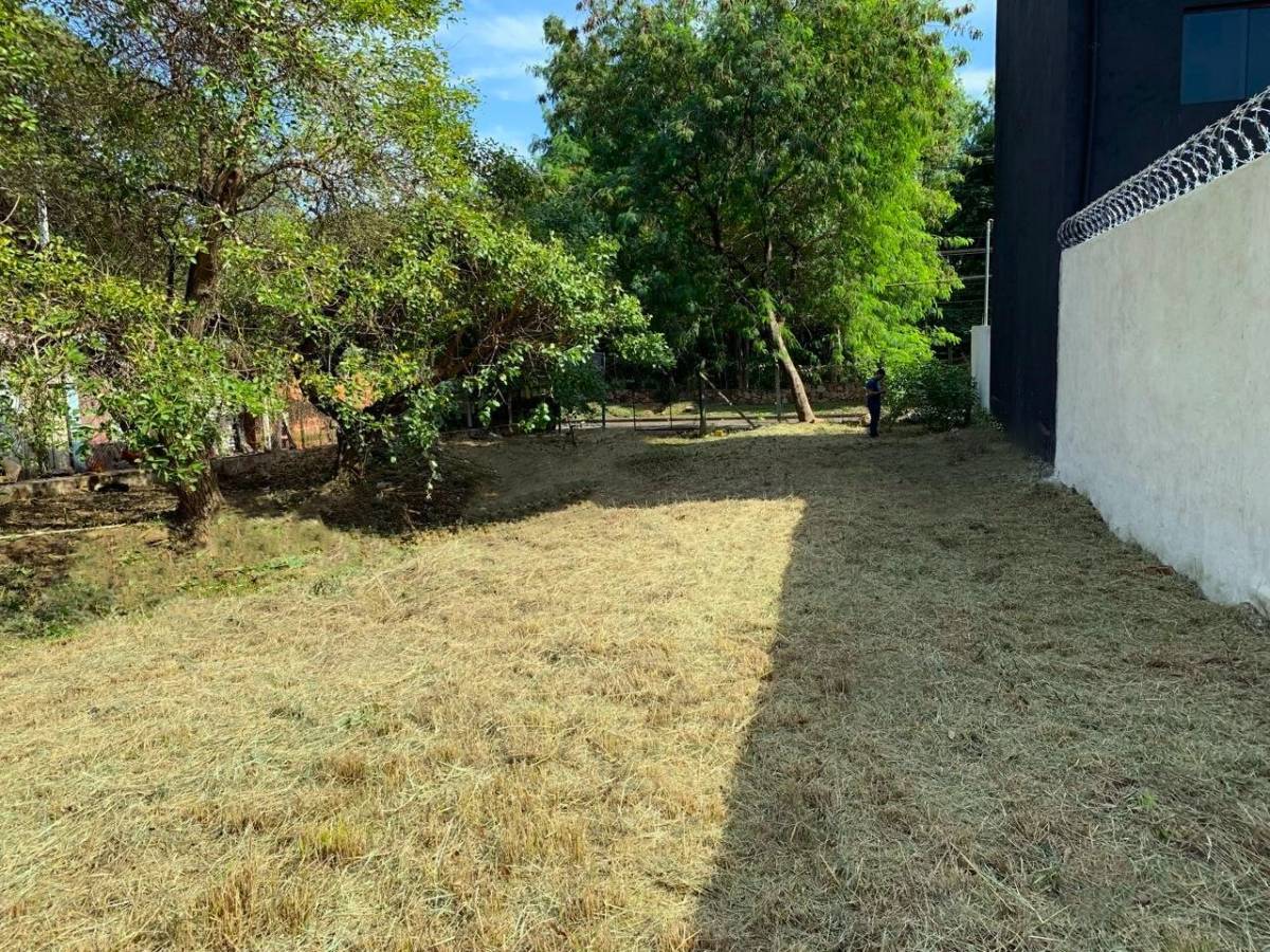 Terreno en venta en Lambare
