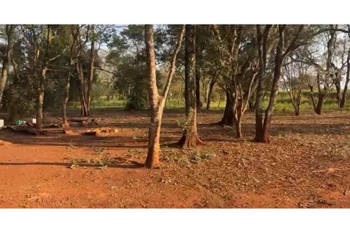 Terreno en venta en Ciudad Del Este