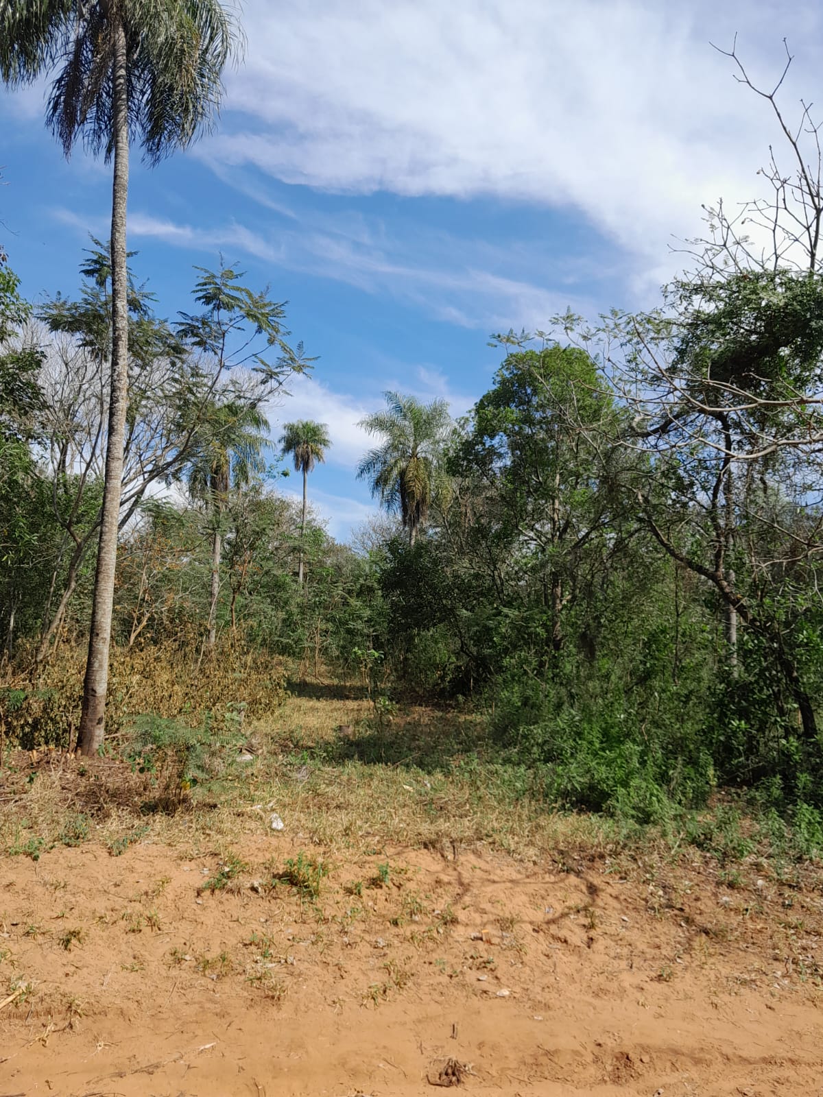 Terreno en venta en (deleted option)