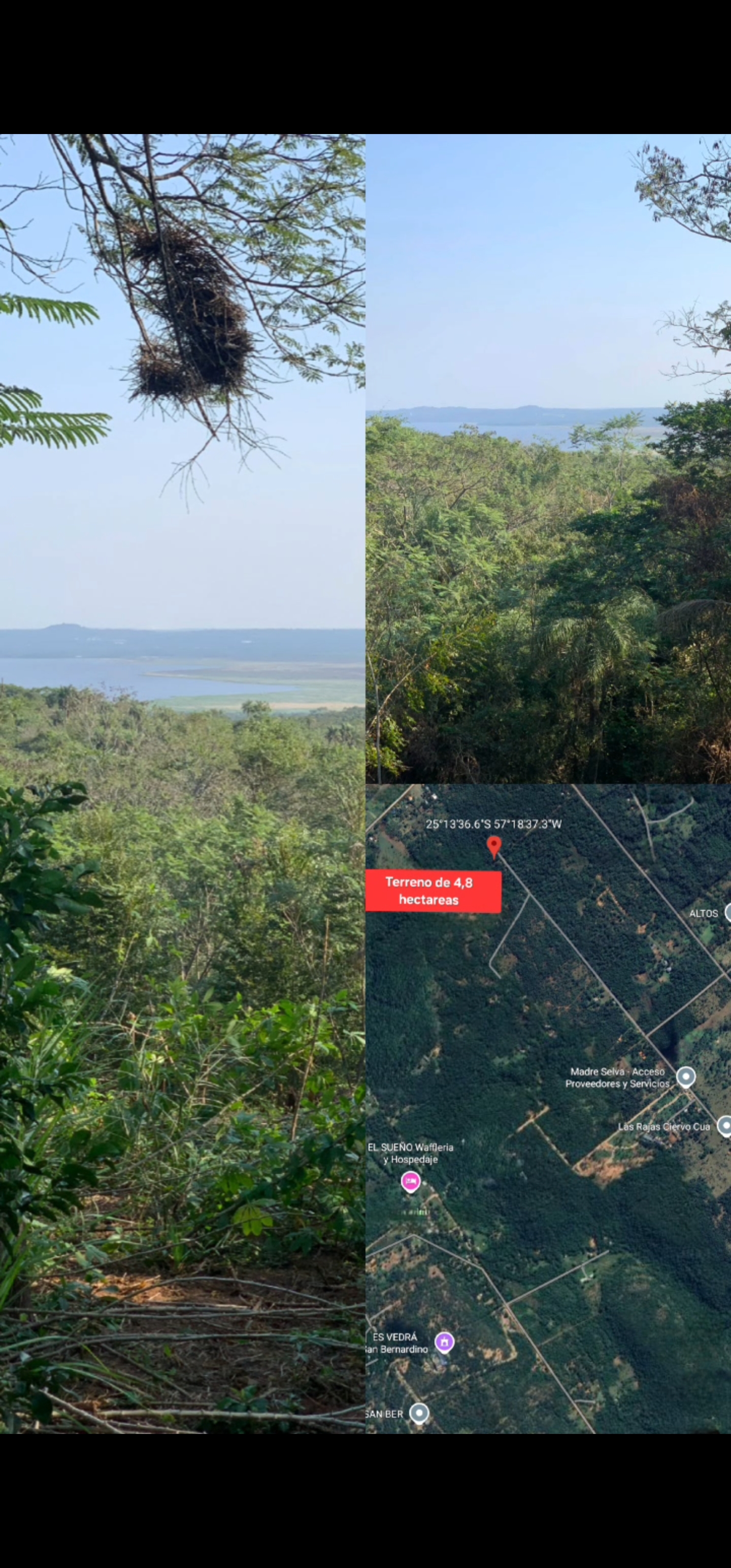 Terreno en venta en Ciervo Cua