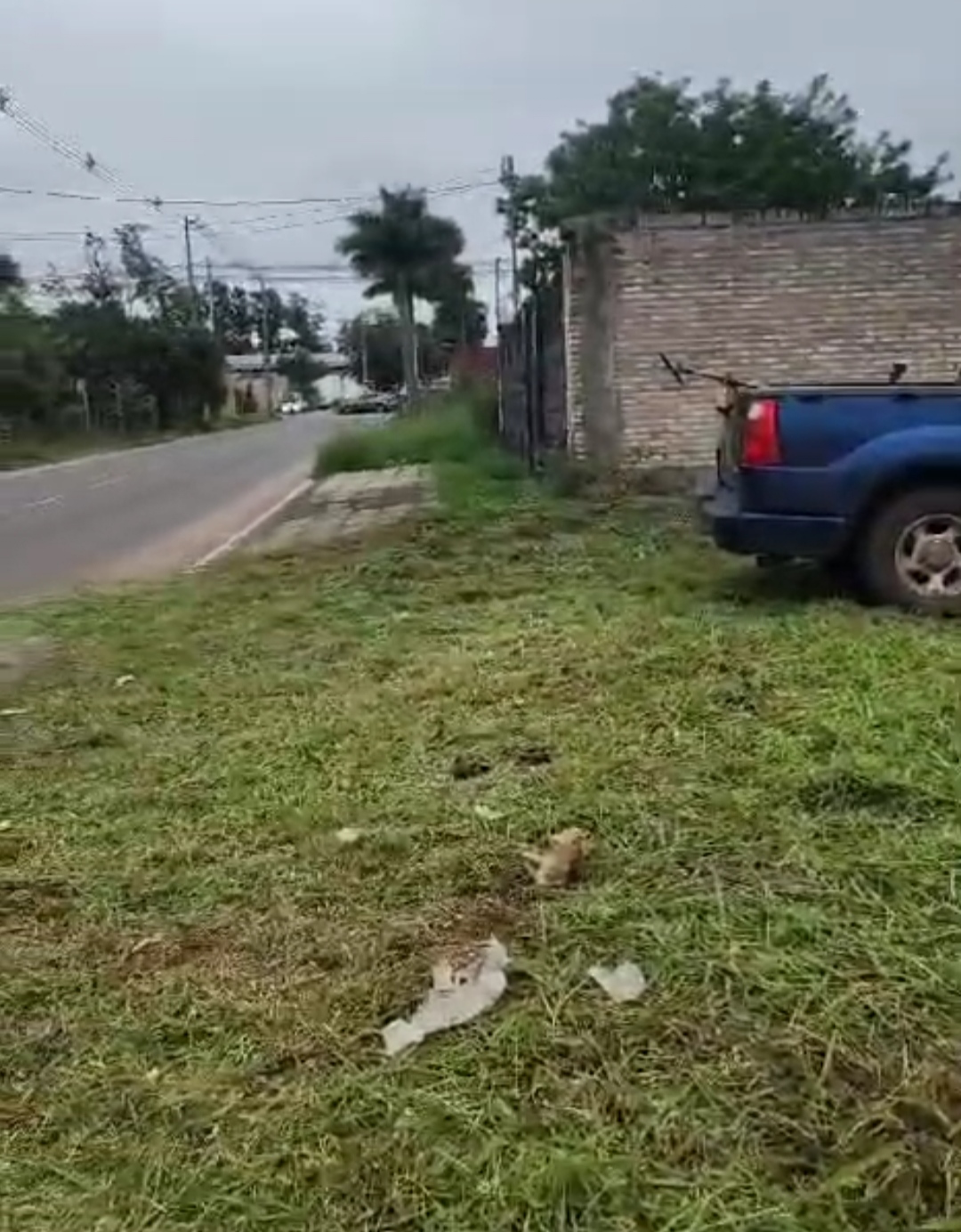Terreno en alquiler en Laguna grande