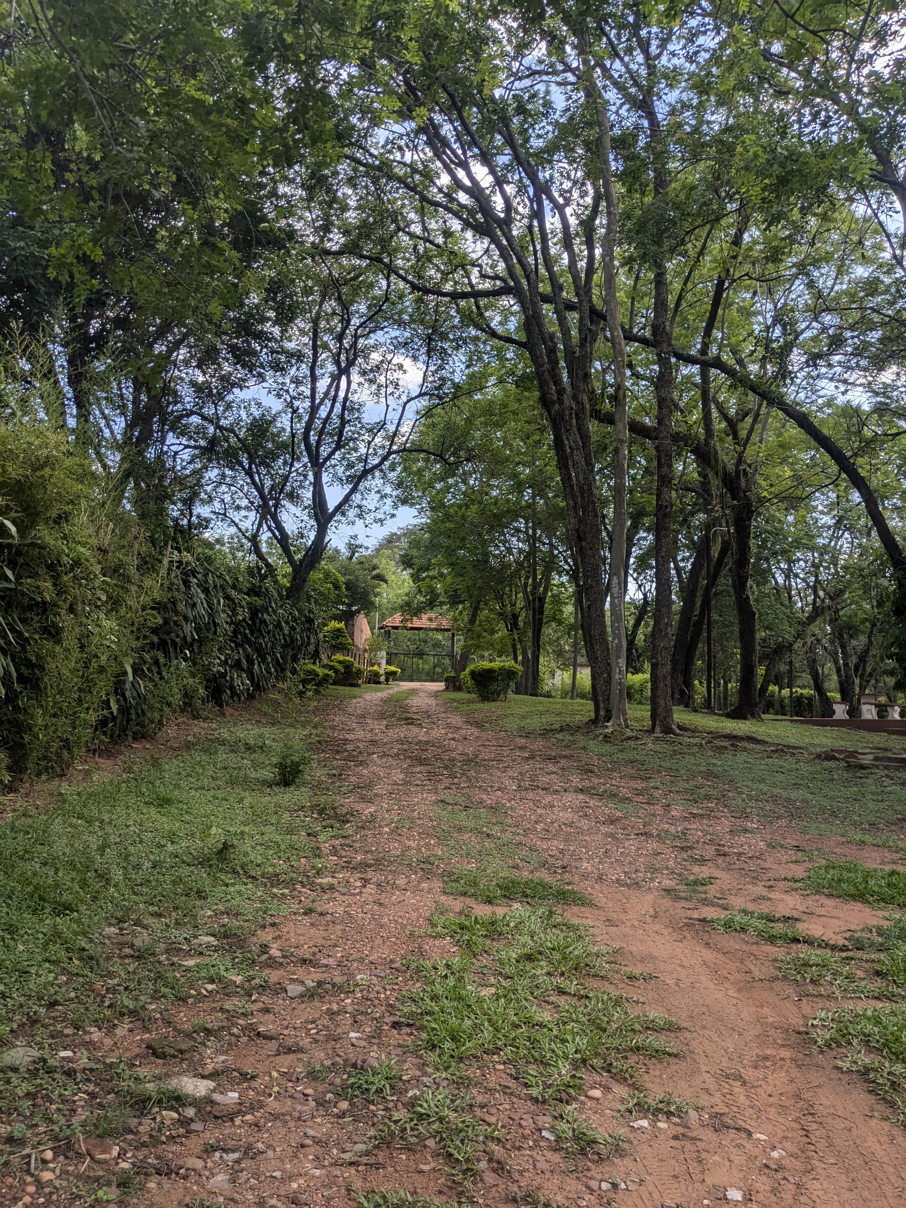 Terreno en venta en Rincón del peñon norte