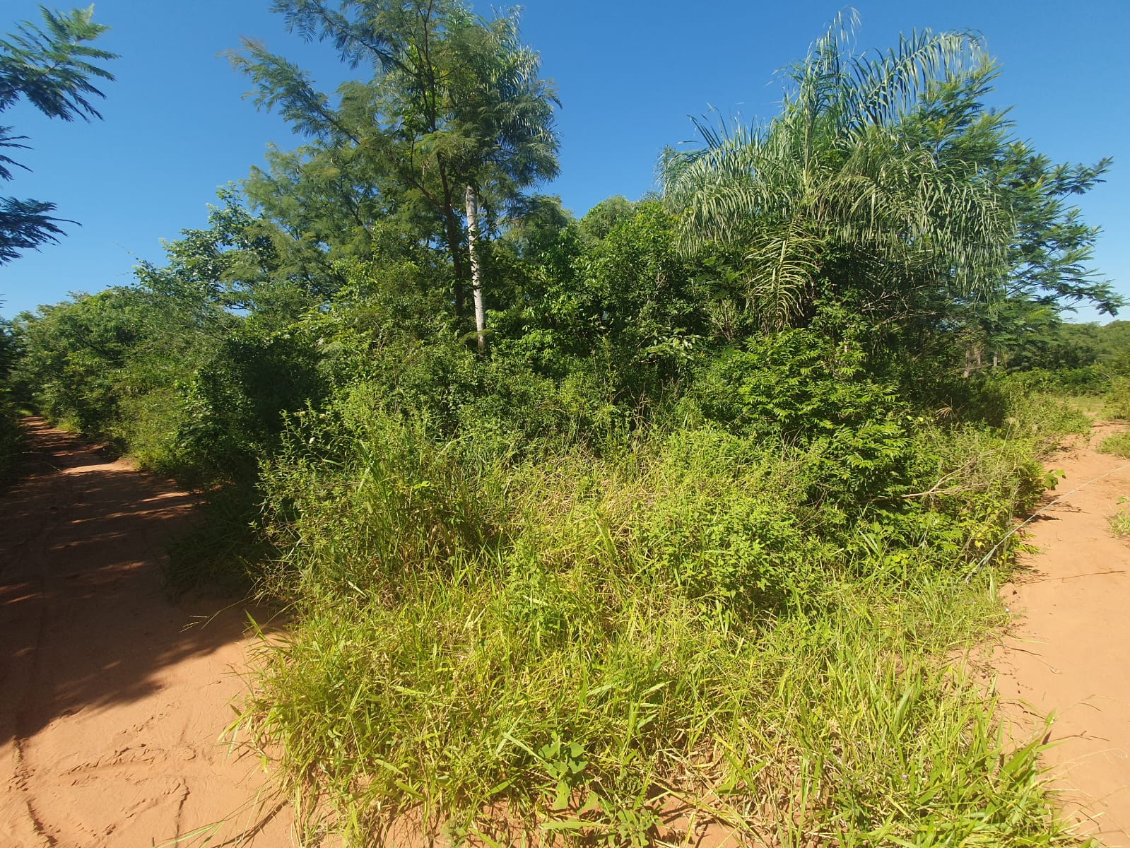 Terreno en venta en (deleted option)