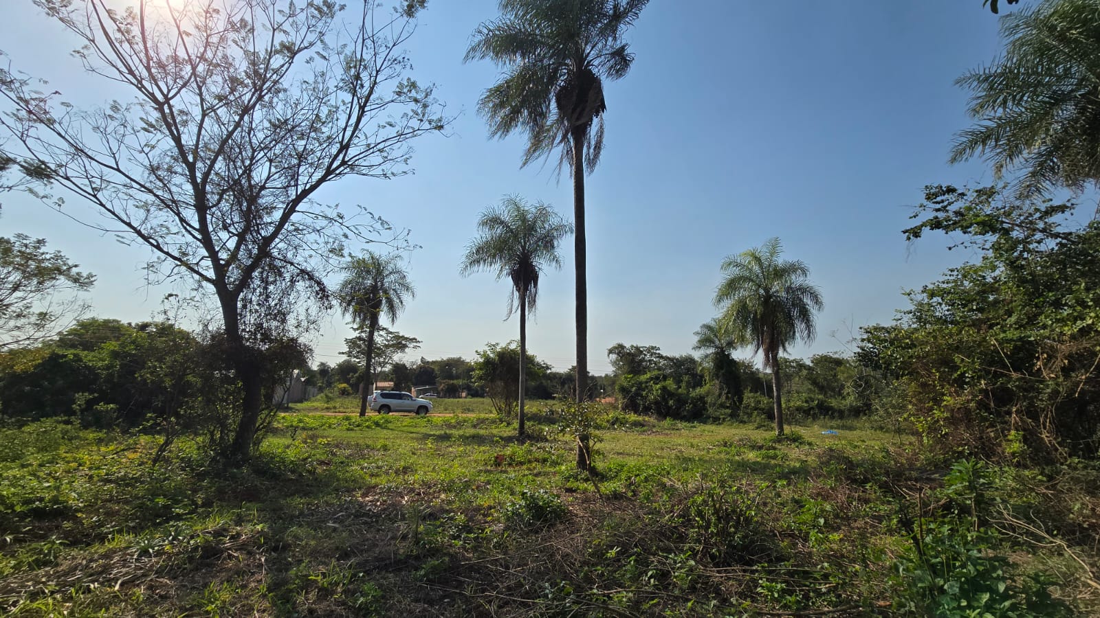 Terreno en venta en Caaguazú