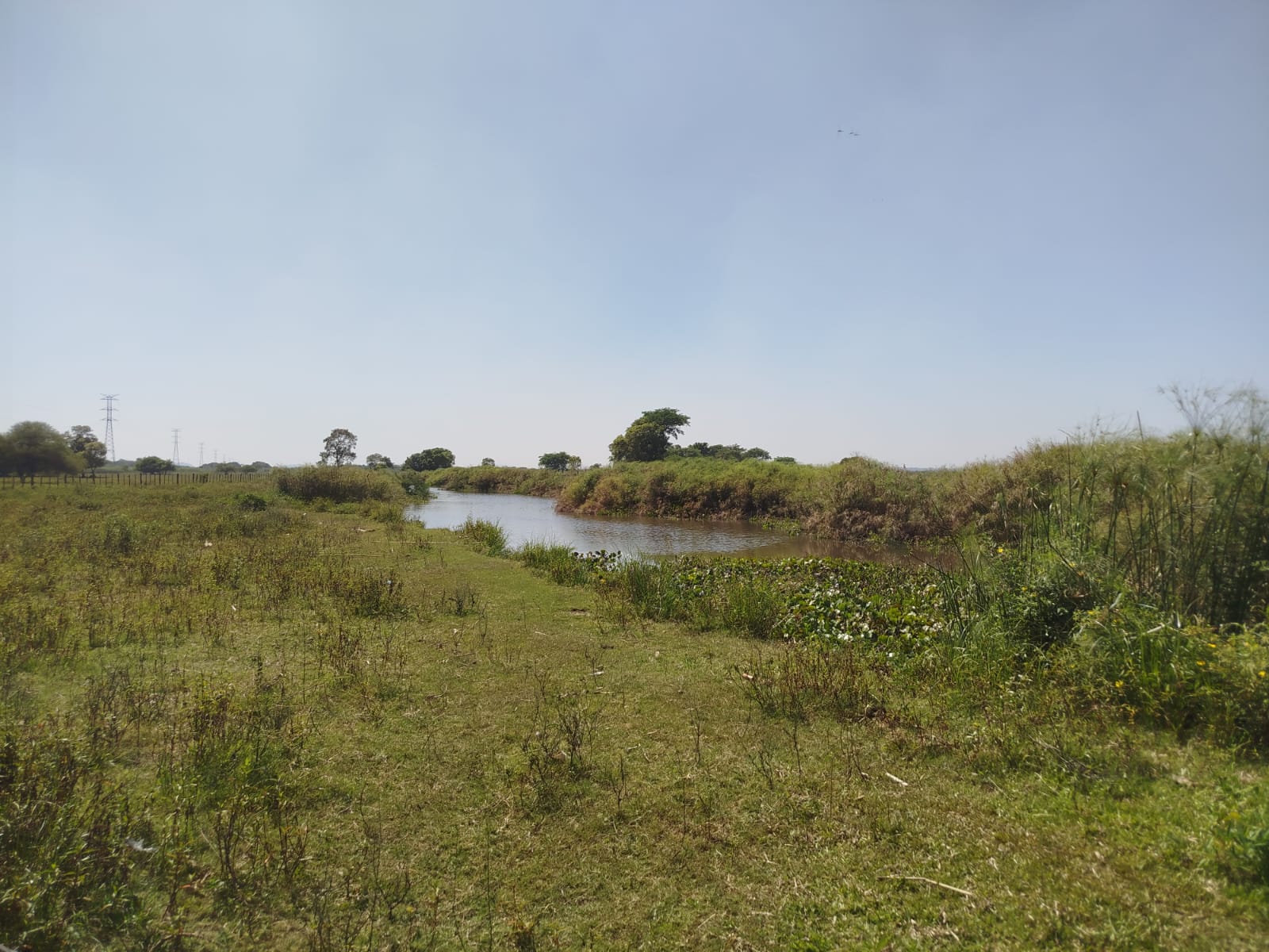 Estancia en venta en Nueva Italia