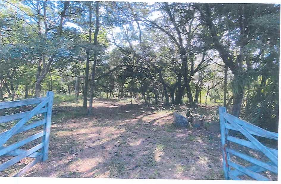 Terreno en venta en Luque Sanber