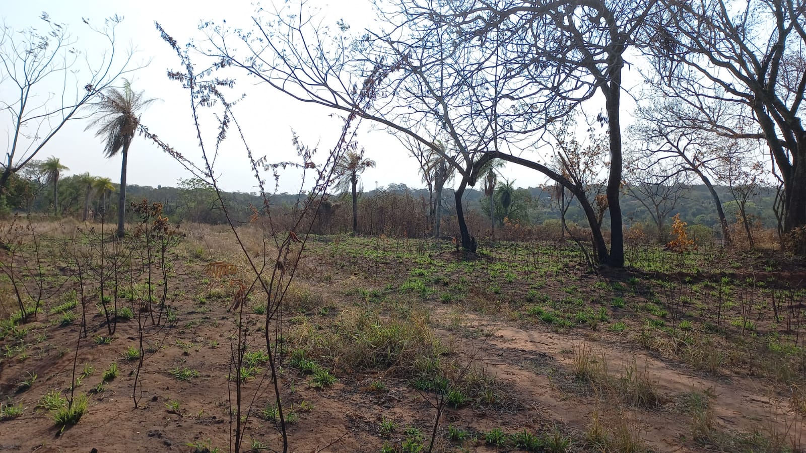 Terreno en venta en Barrio Palma Loma