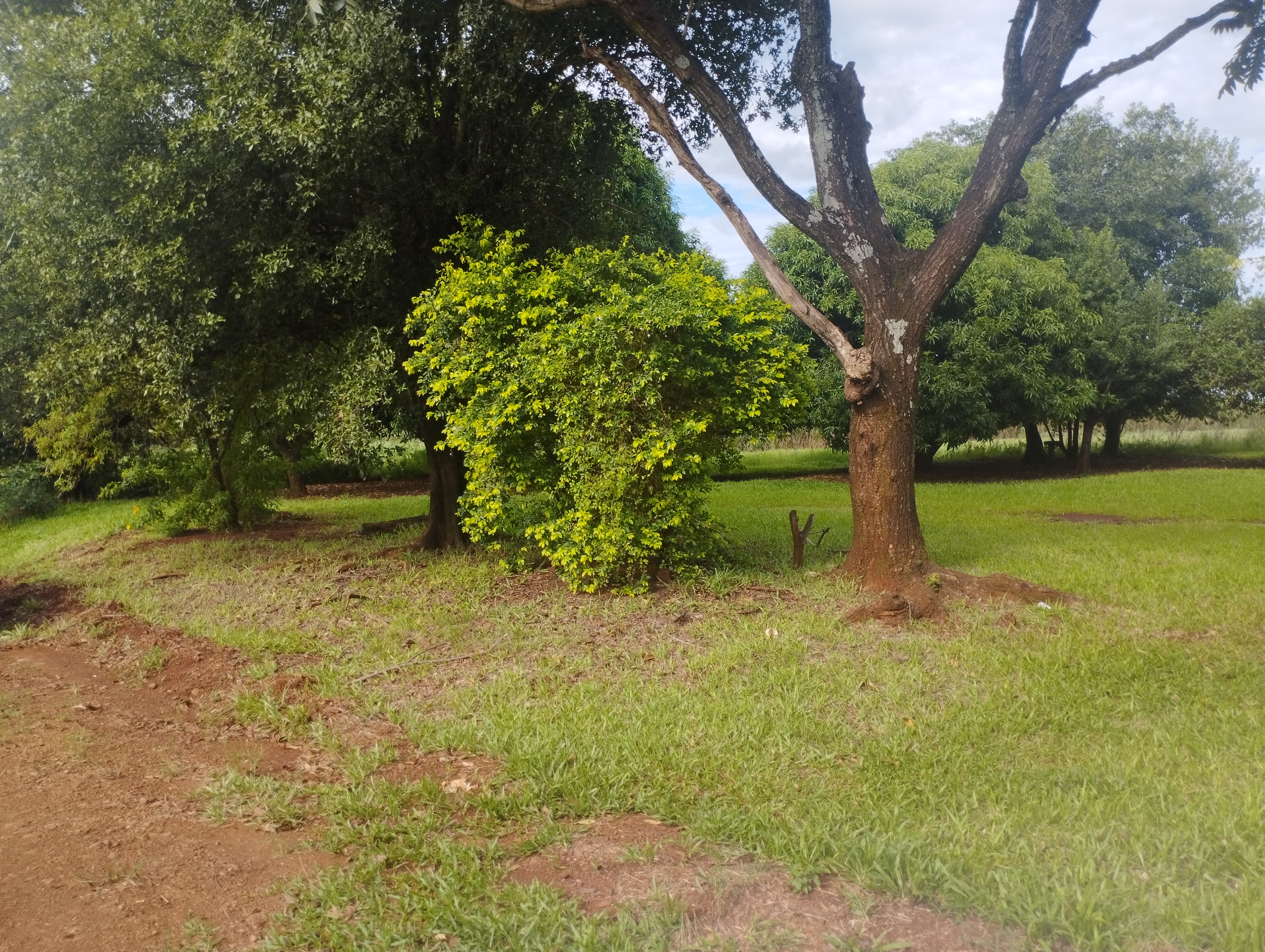 Terreno en venta en Calle A