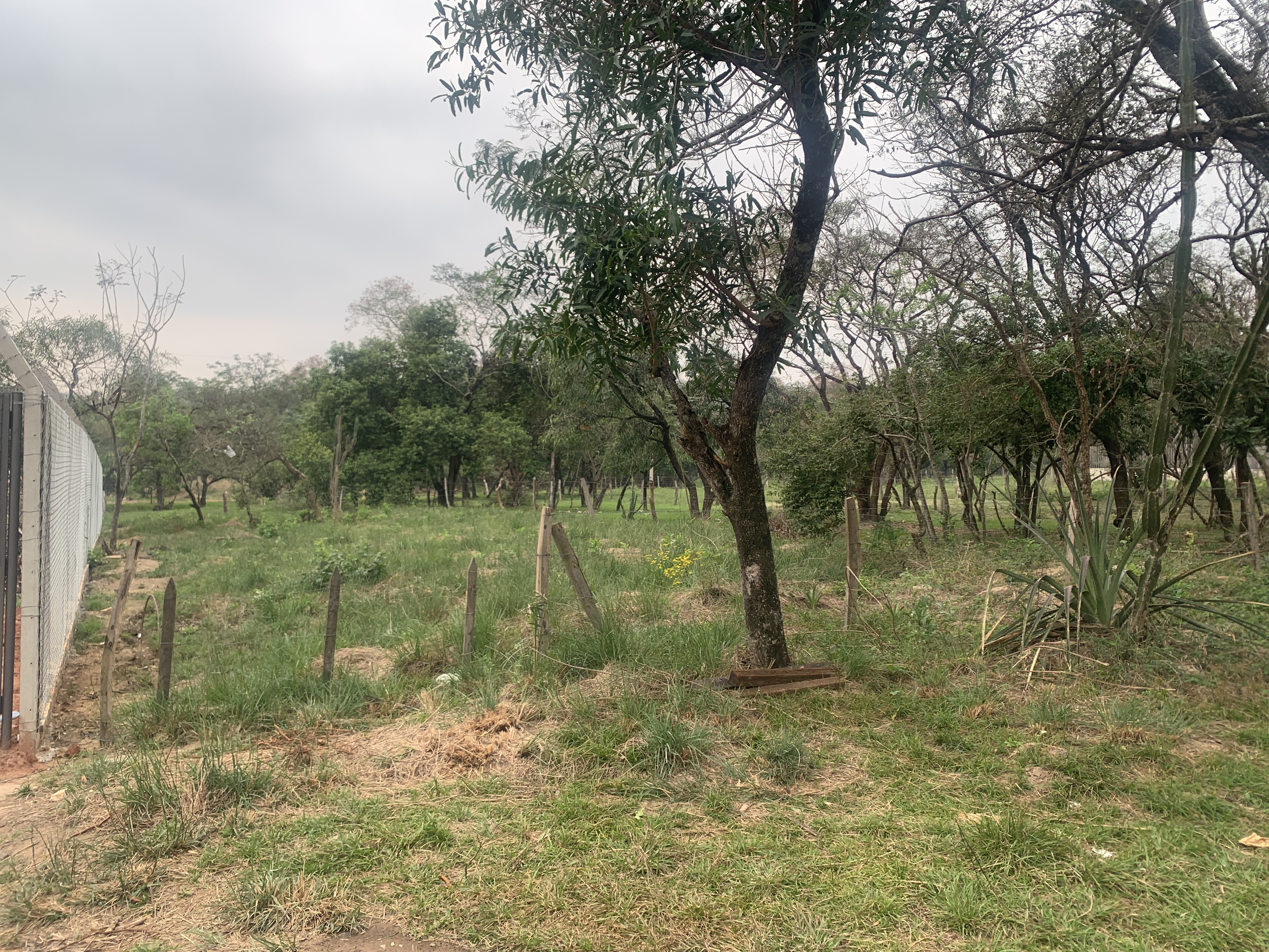 Terreno en venta en Ciervo Kua. Urb. Agua verde