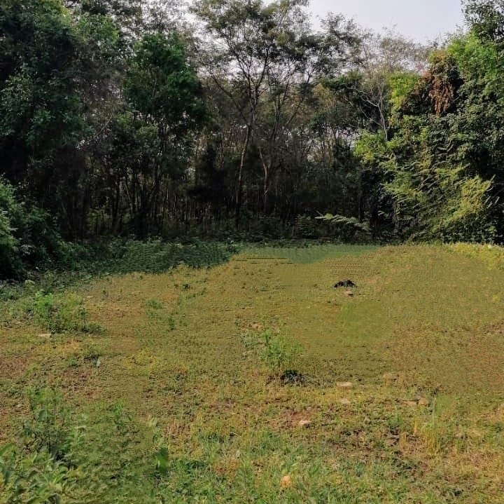 Terreno en venta en Caacupe