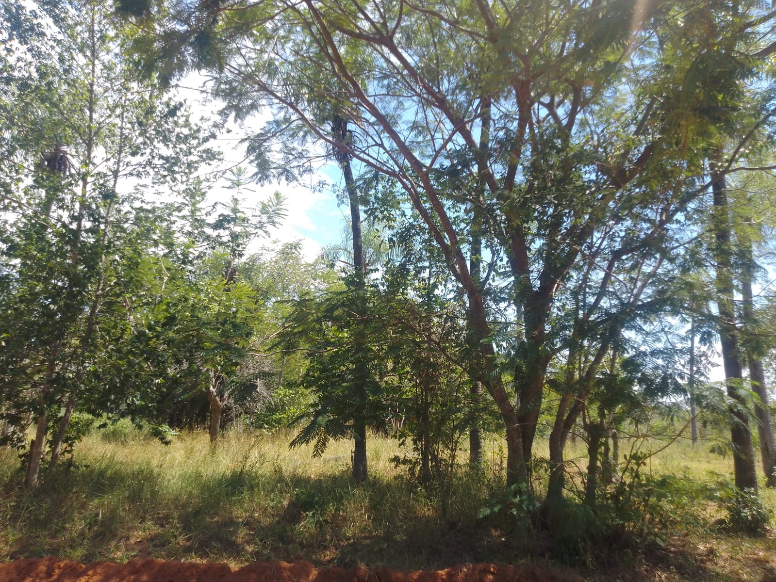 Terreno en venta en Aregua