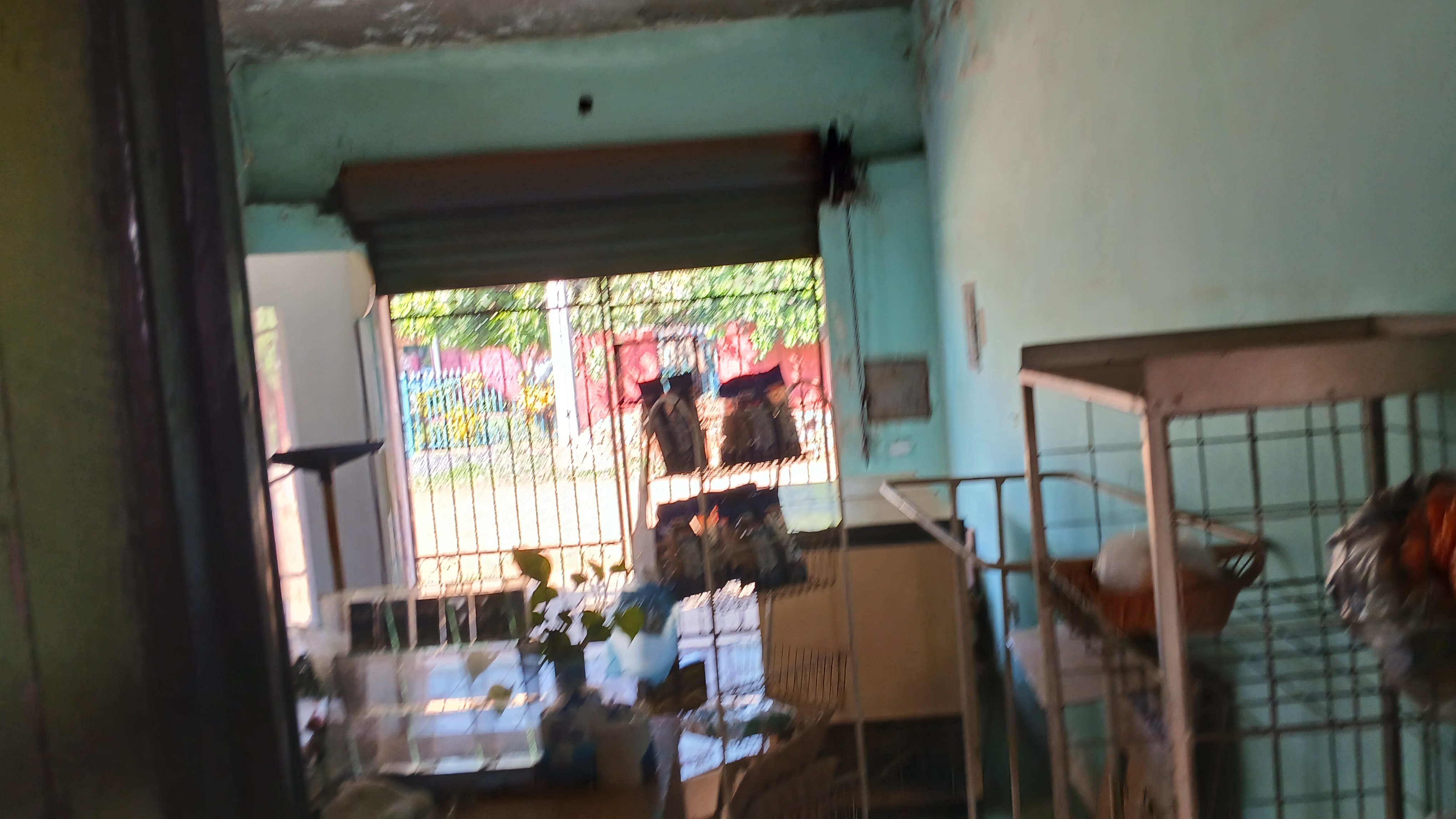 Casa en venta en ISLA BOGADO