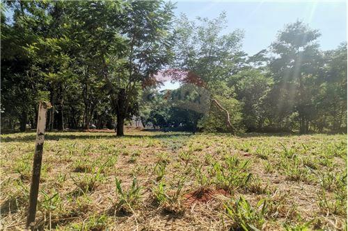 Terreno en venta en Picada