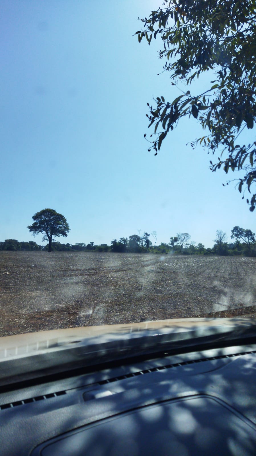 Terreno en venta en San pedro del parana