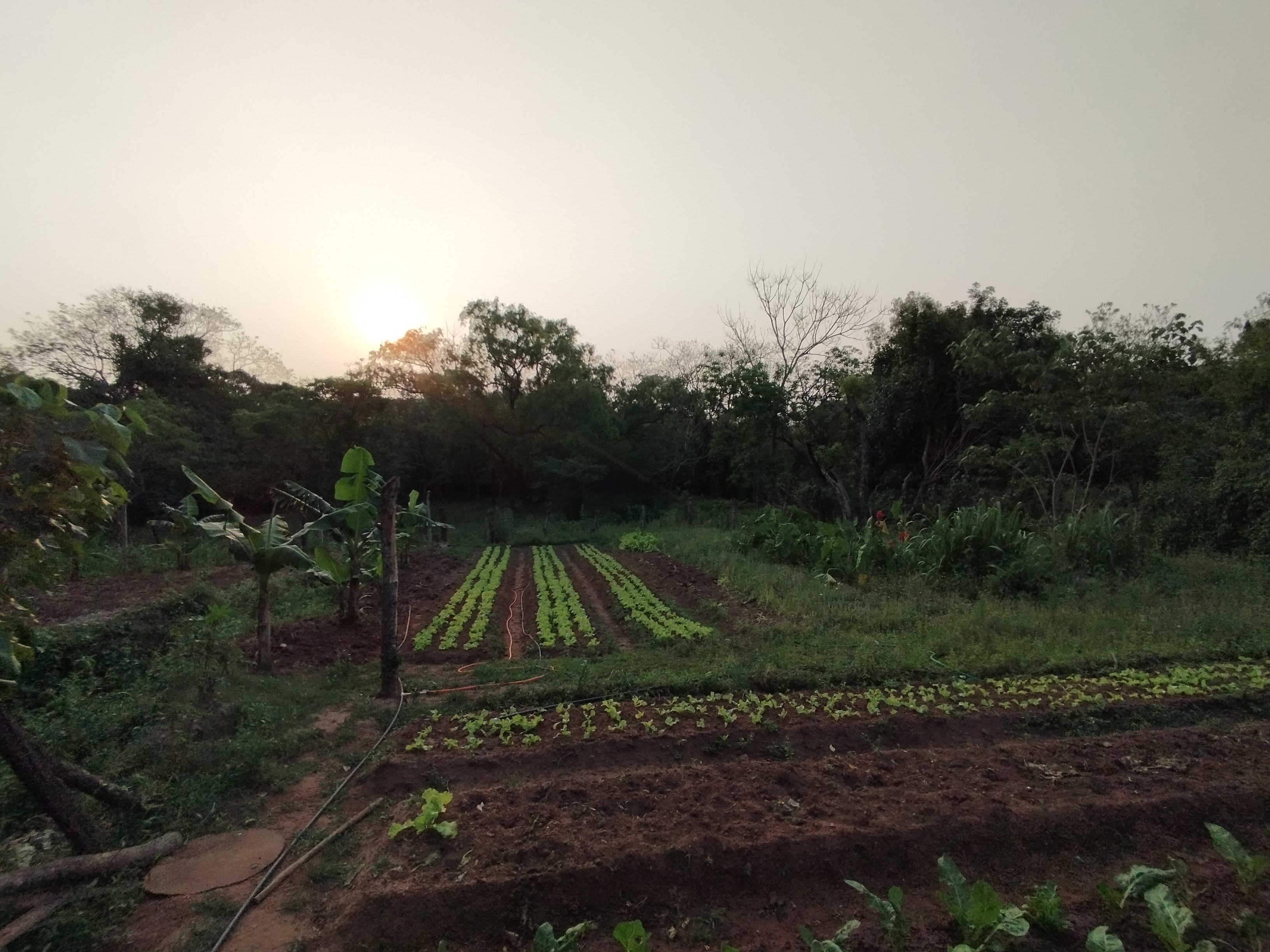 Terreno en venta en Rojas Cañada