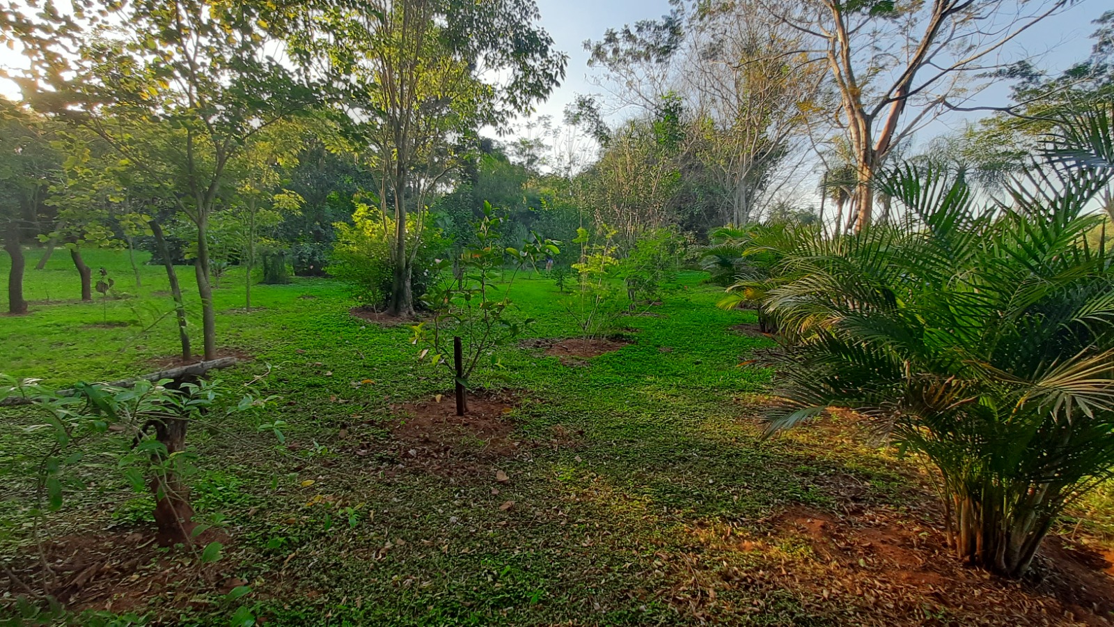 Terreno en venta en Kokue Guazu