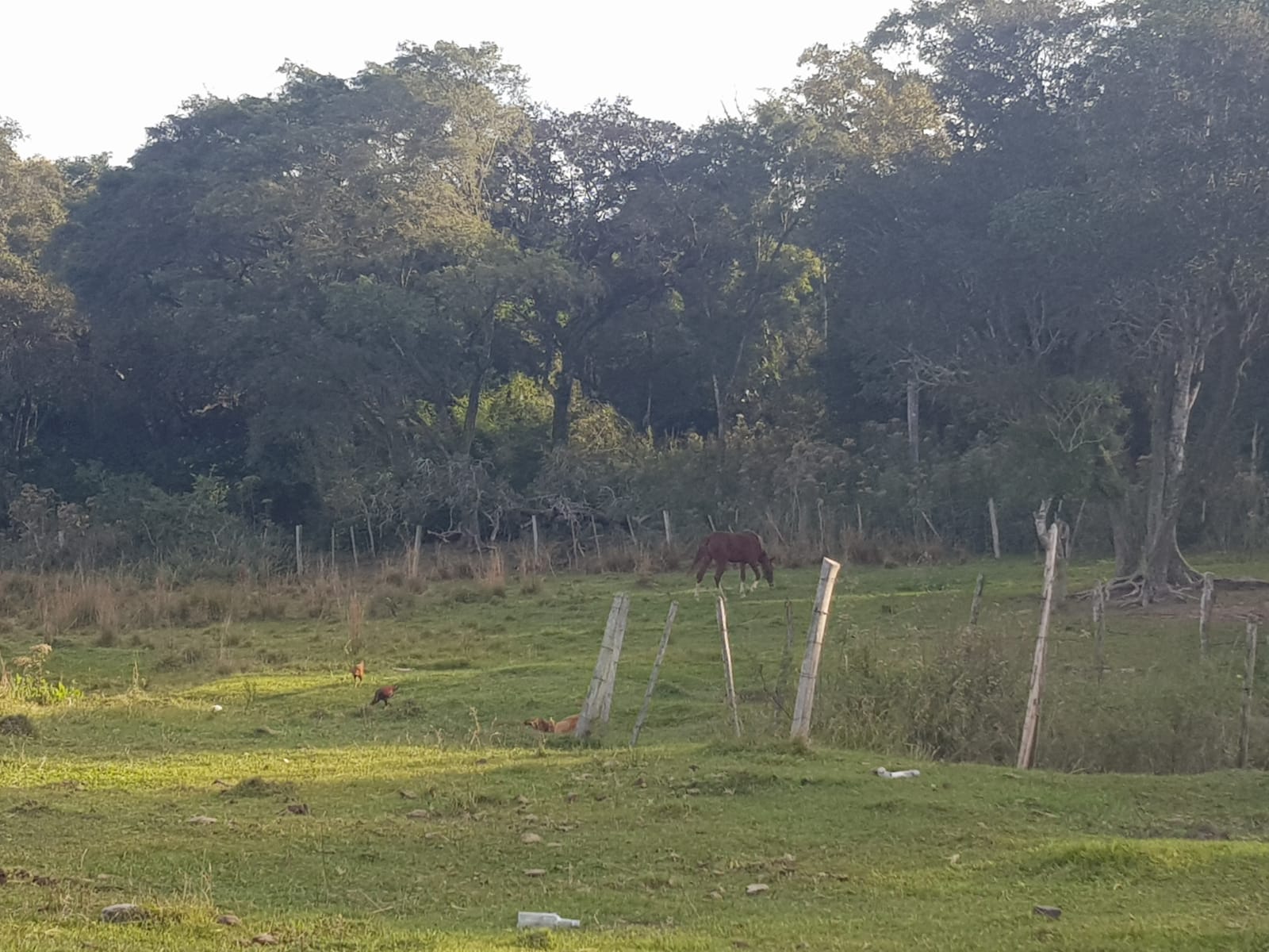 Estancia en venta en PARAGUARI