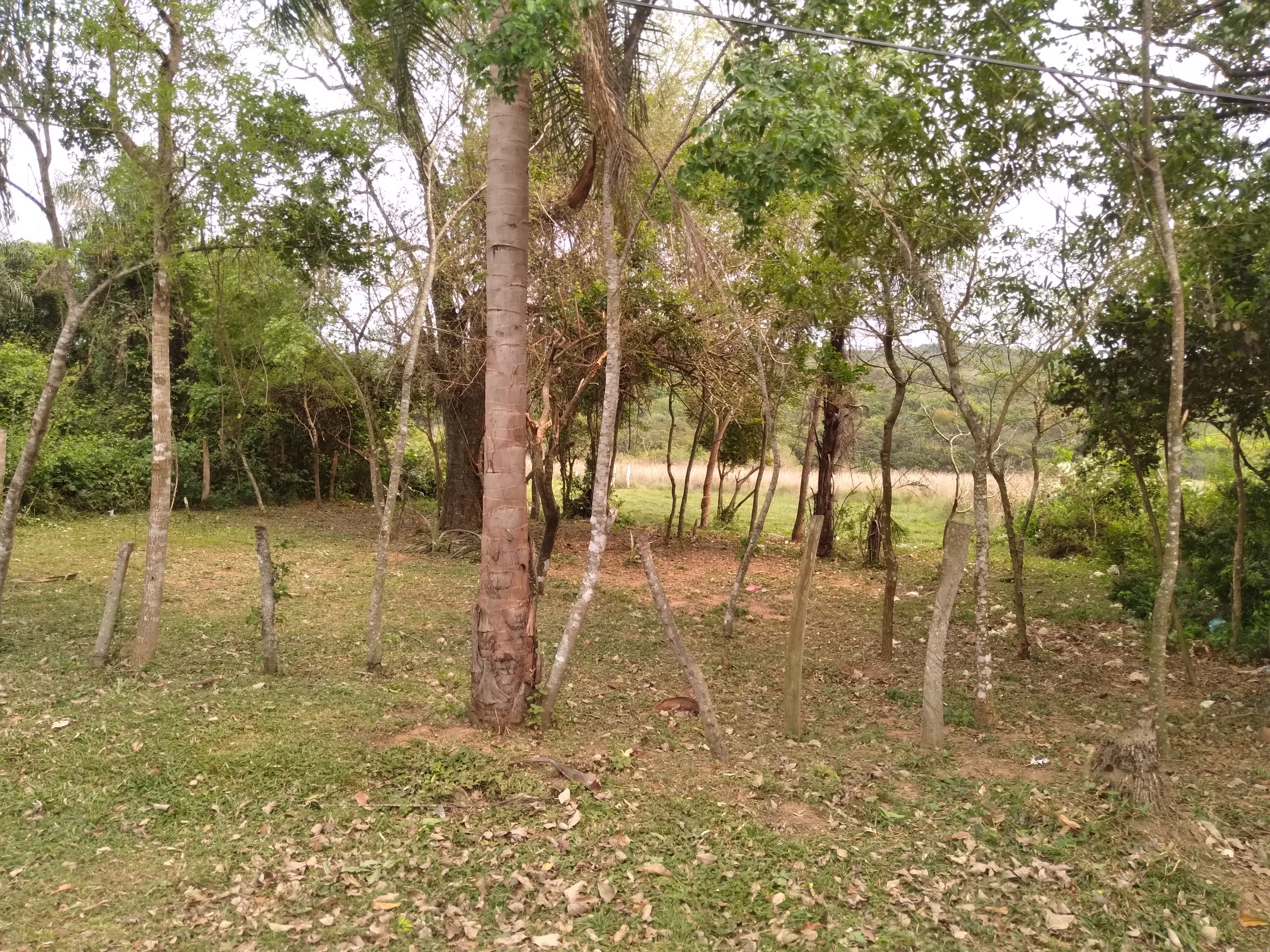 Terreno en venta en Altos