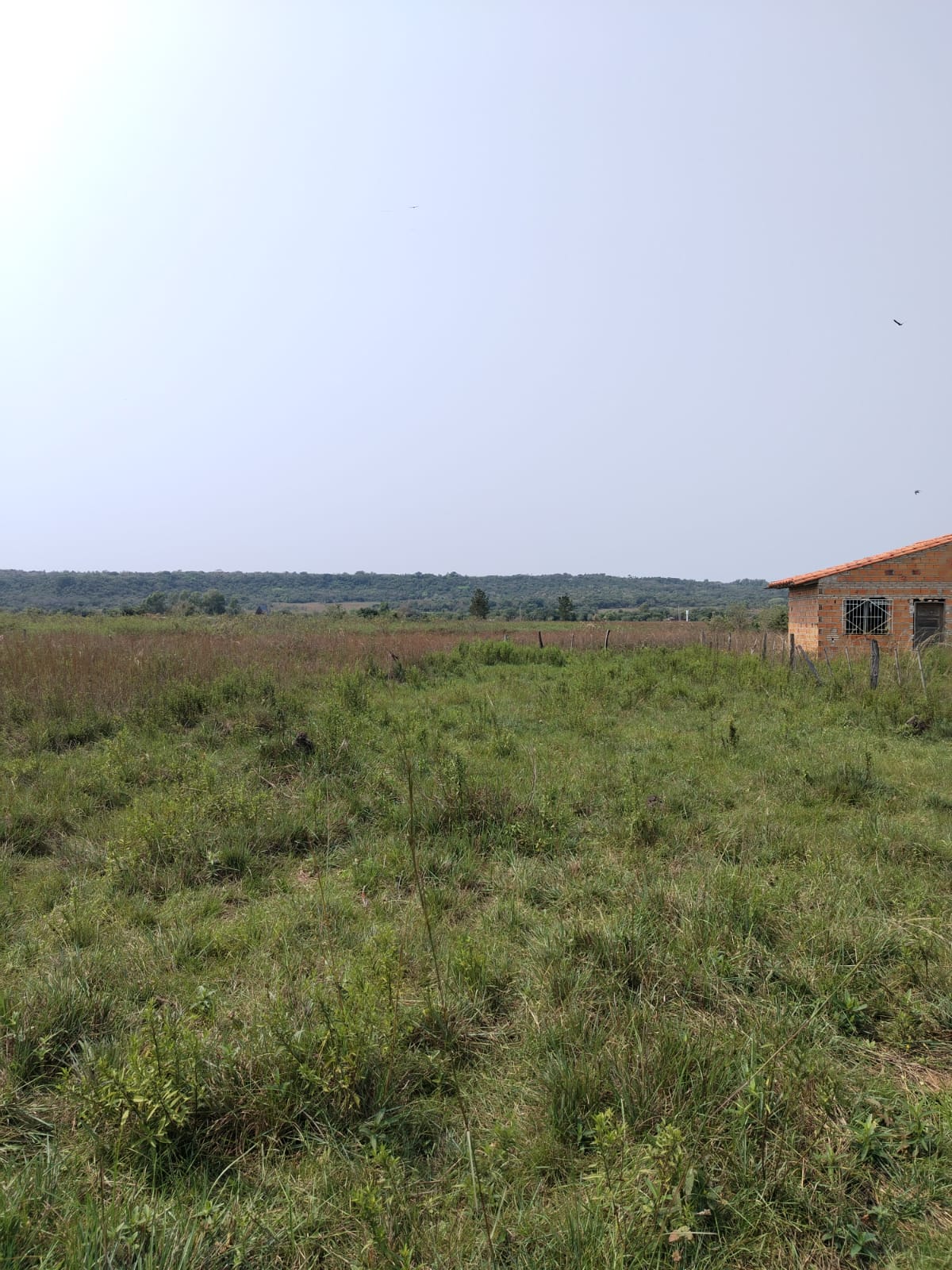Terreno en venta en Sobre ruta