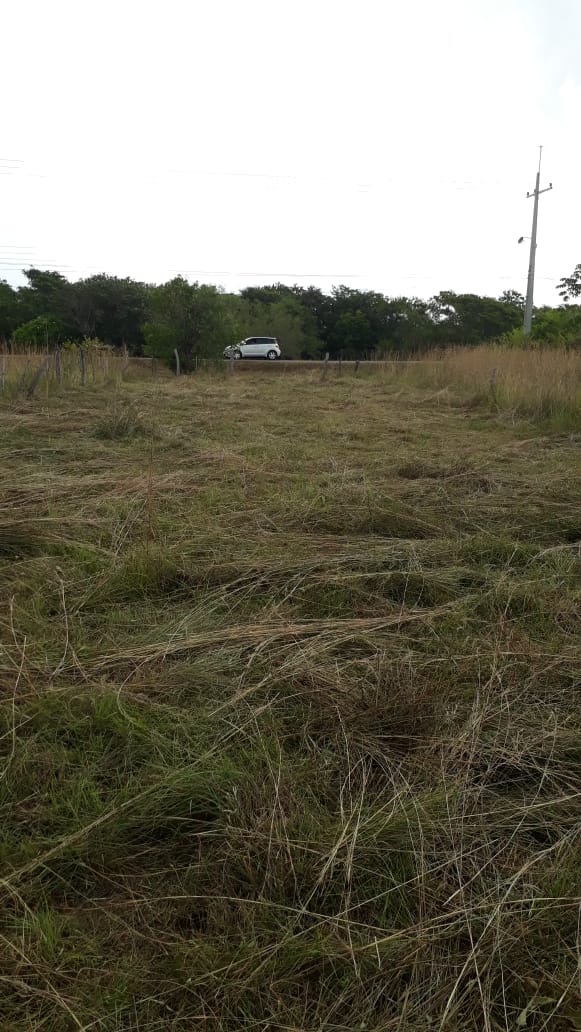 Terreno en venta en Sobre ruta