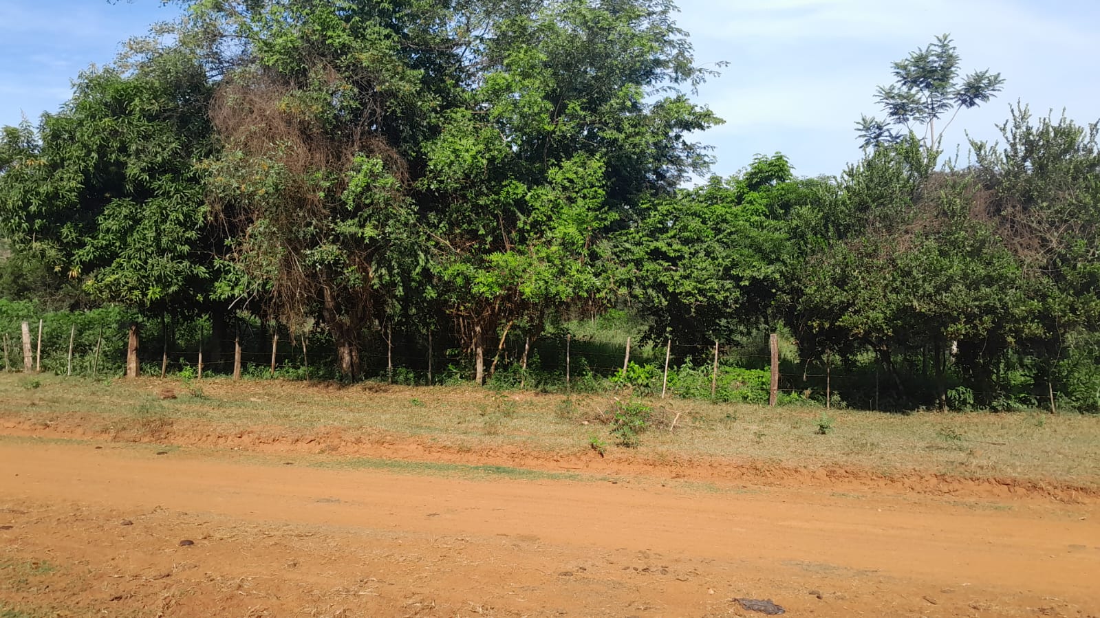 Terreno en venta en Central
