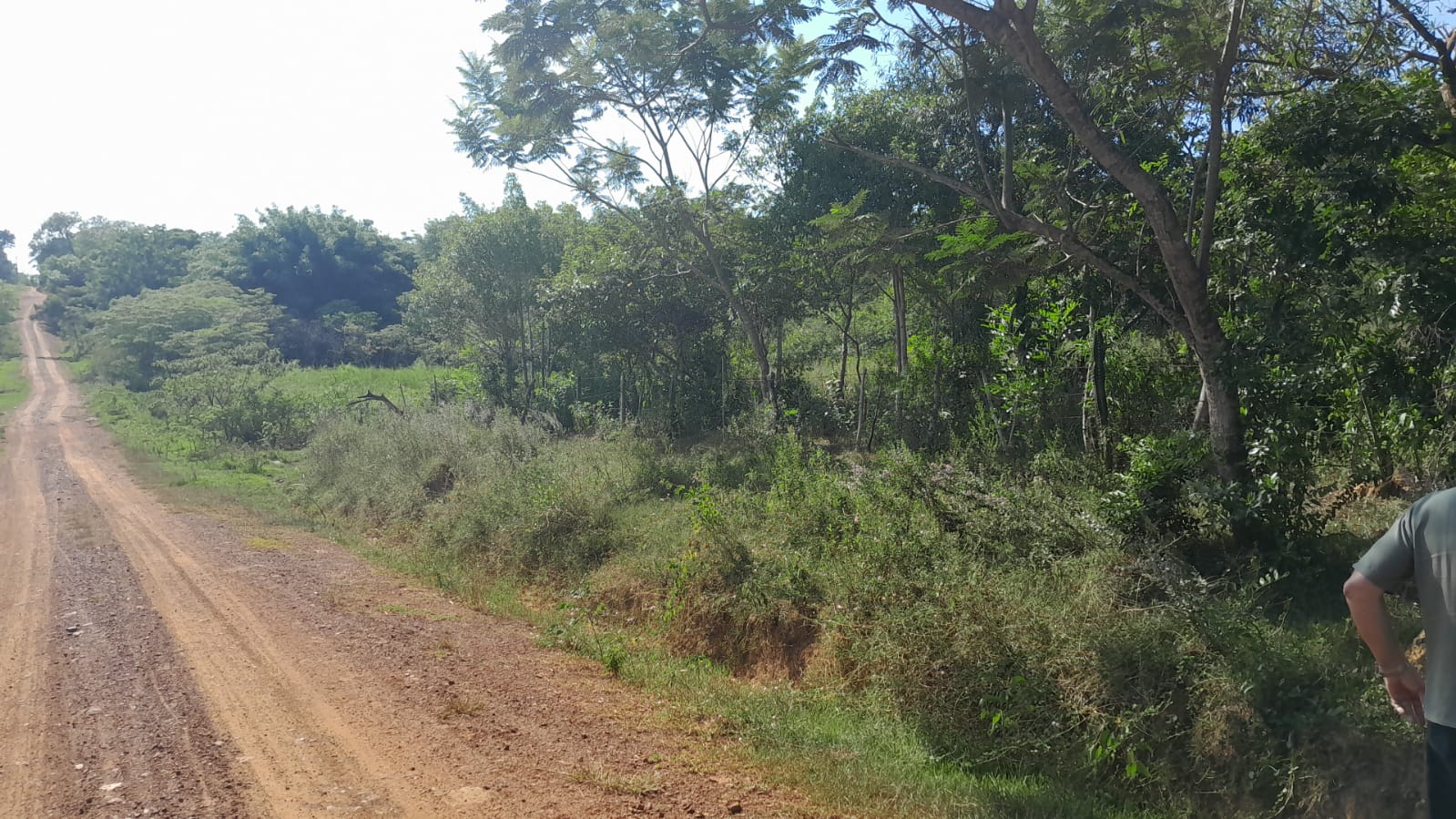Terreno en venta en Central