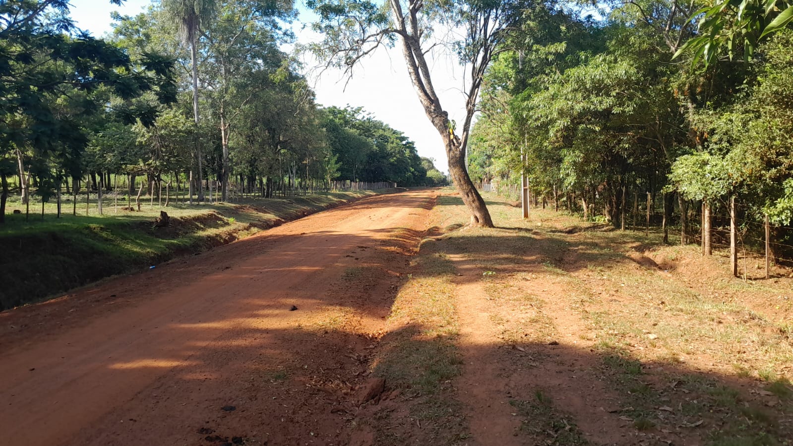 Terreno en venta en Central