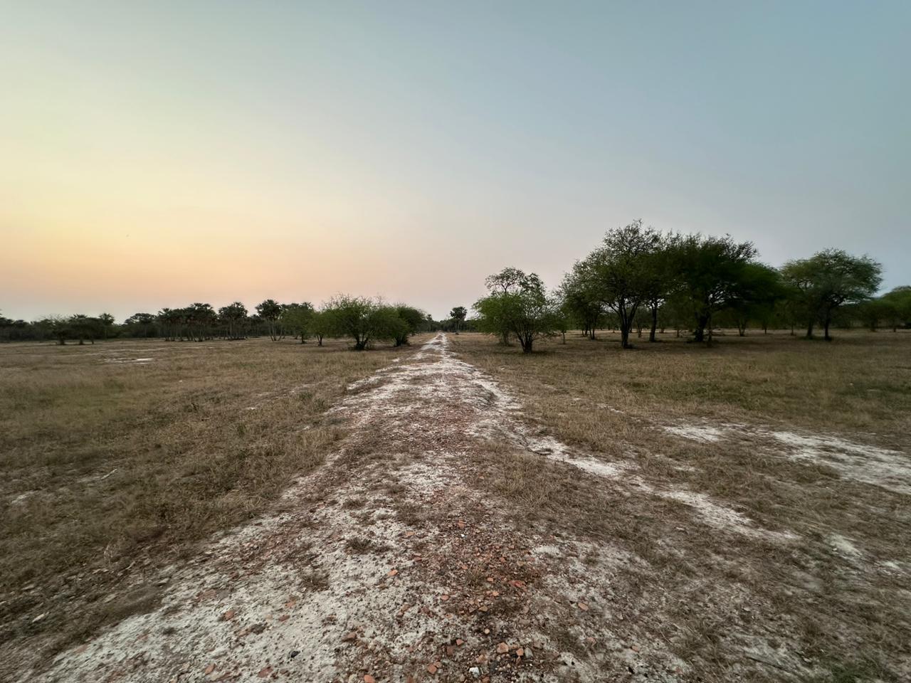 Terreno en venta en Nueva Asuncion