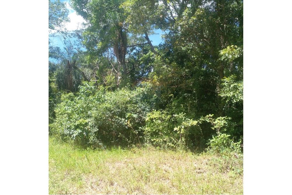 Terreno en venta en Piribebuiy
