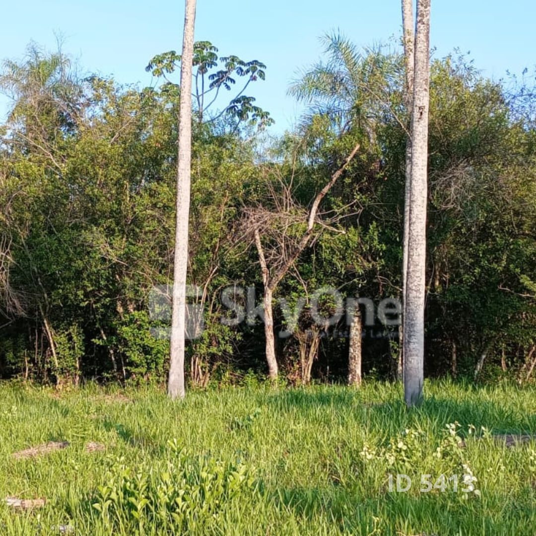 Terreno en venta en Nueva Colombia