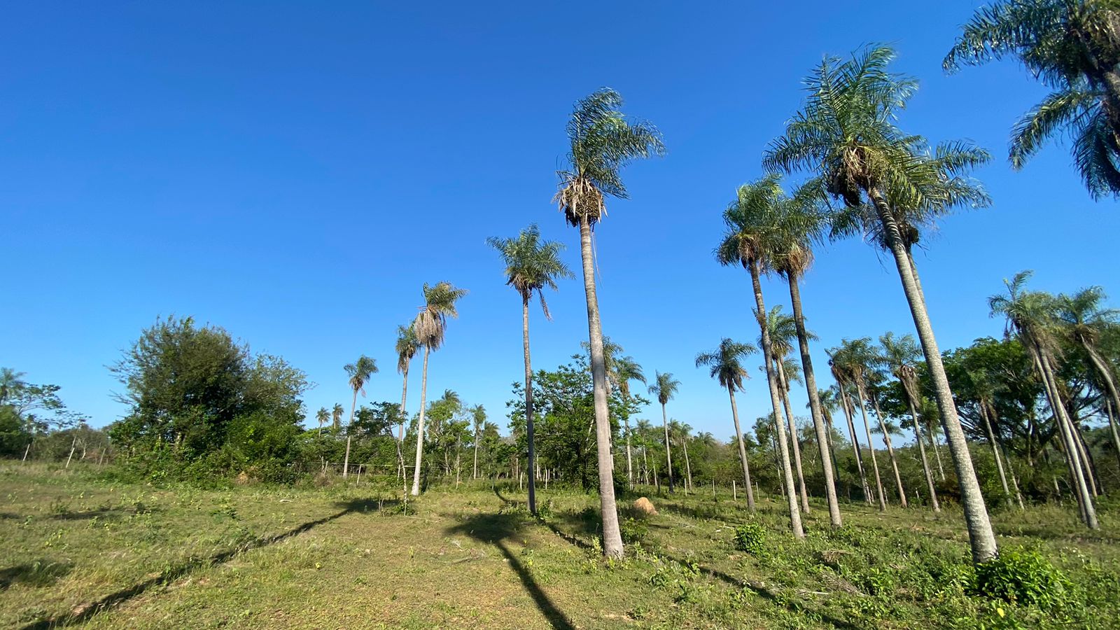 Terreno en venta en (deleted option)