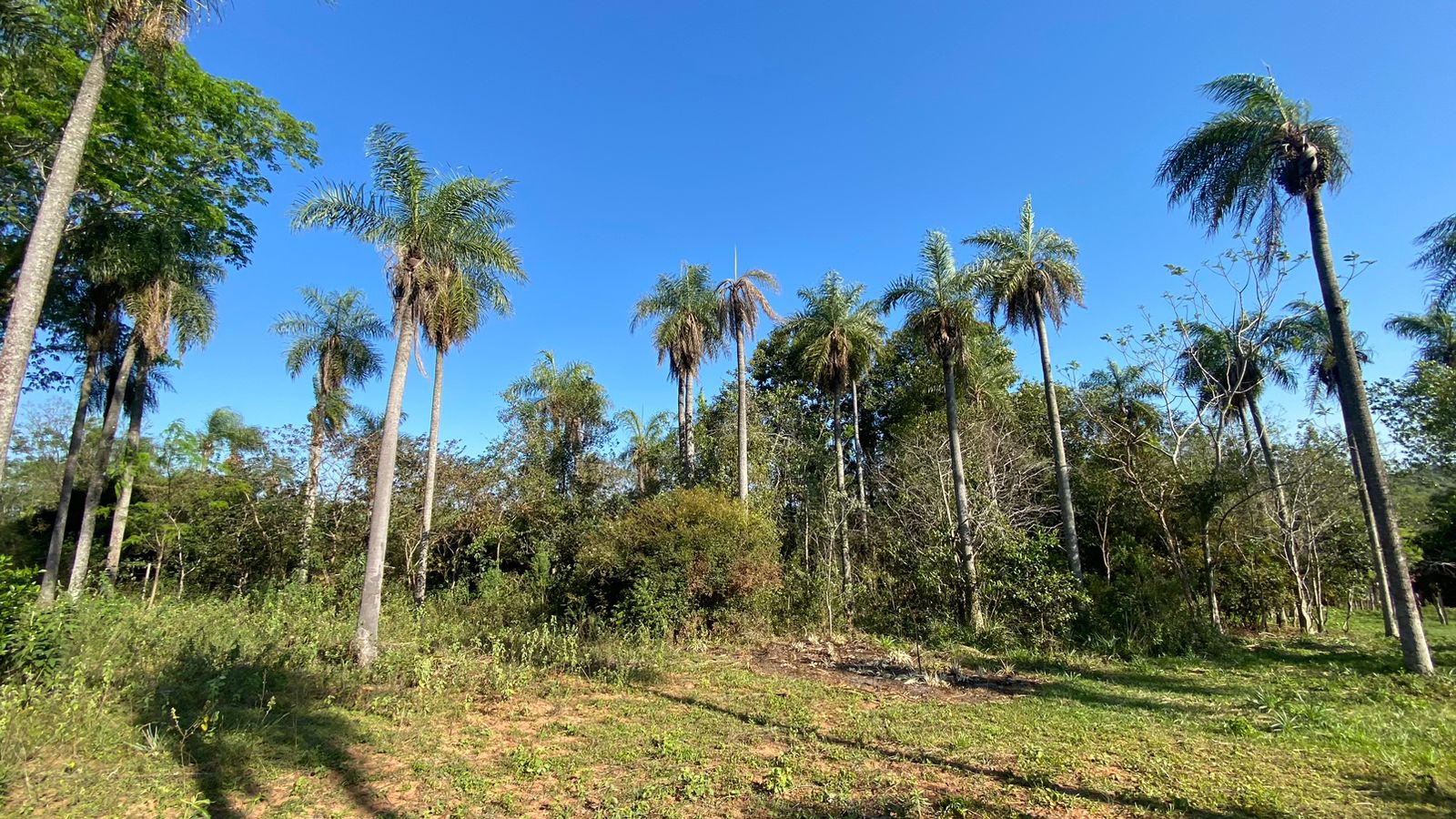 Terreno en venta en (deleted option)