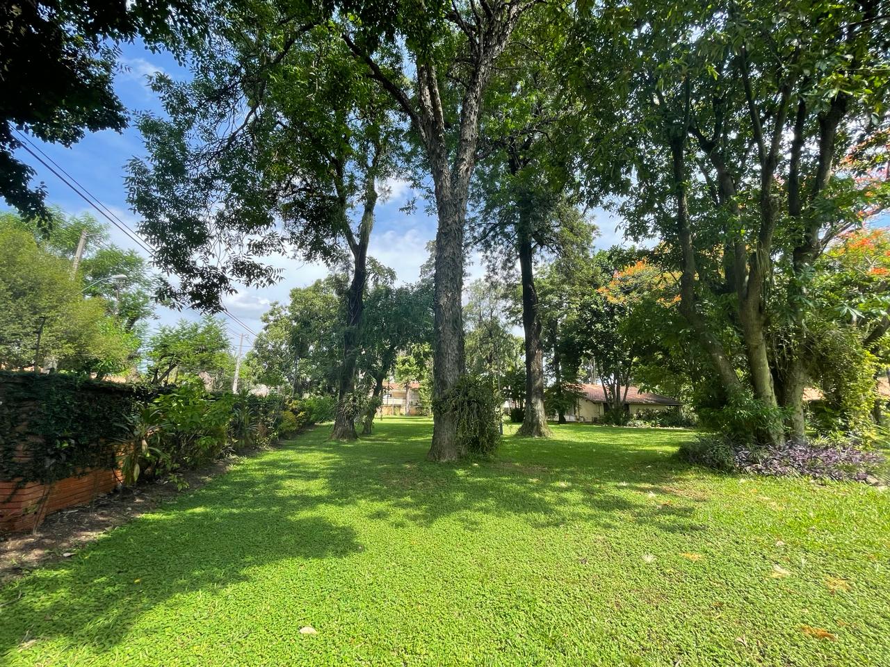Terreno en venta en Mcal Estigarribia