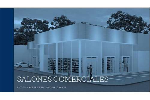 Local comercial en alquiler en Laguna Grande y Victor Caceres