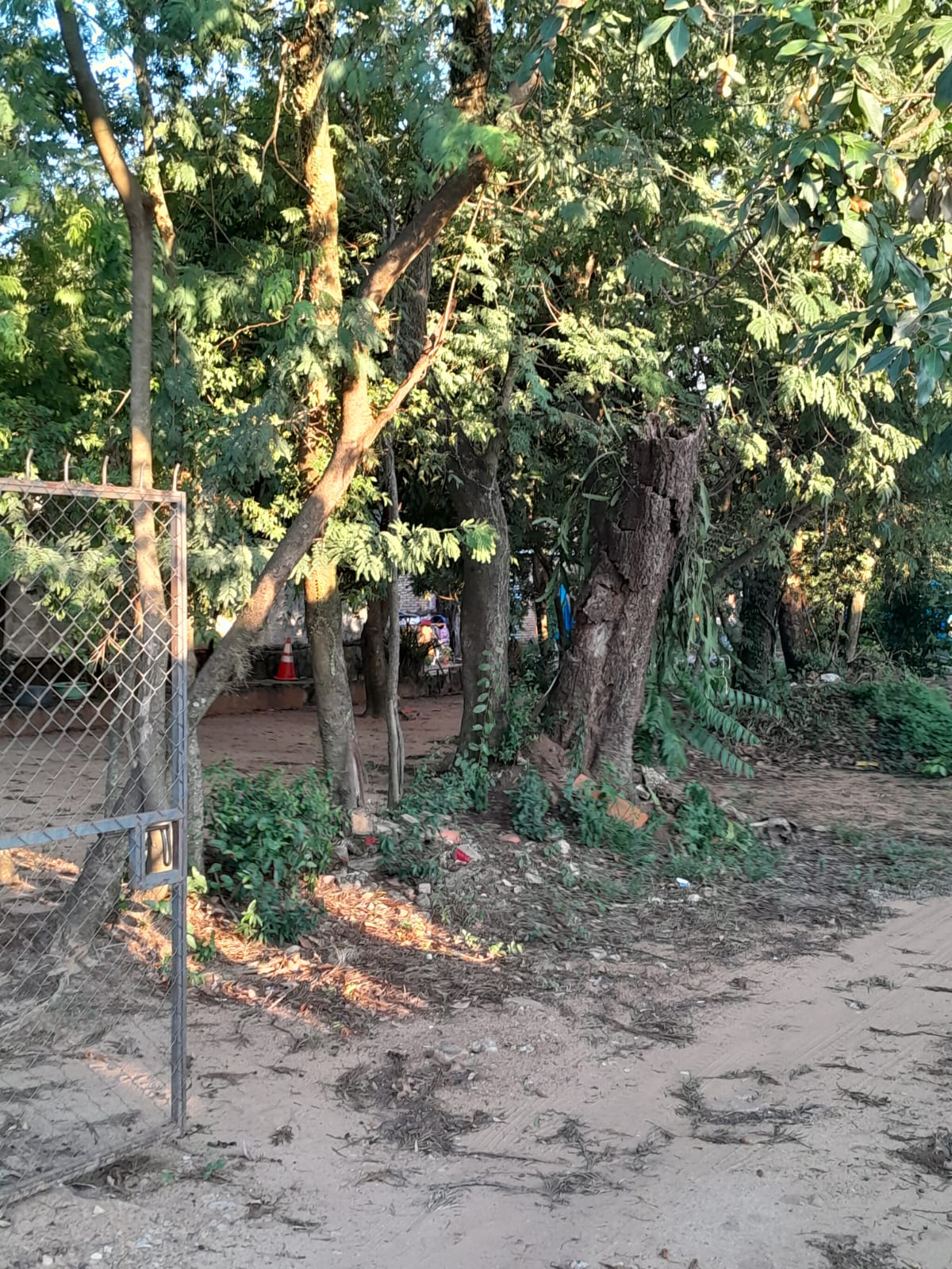 Terreno en venta en San Bernardino