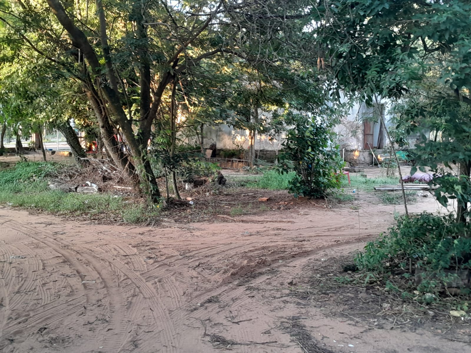 Terreno en venta en San Bernardino