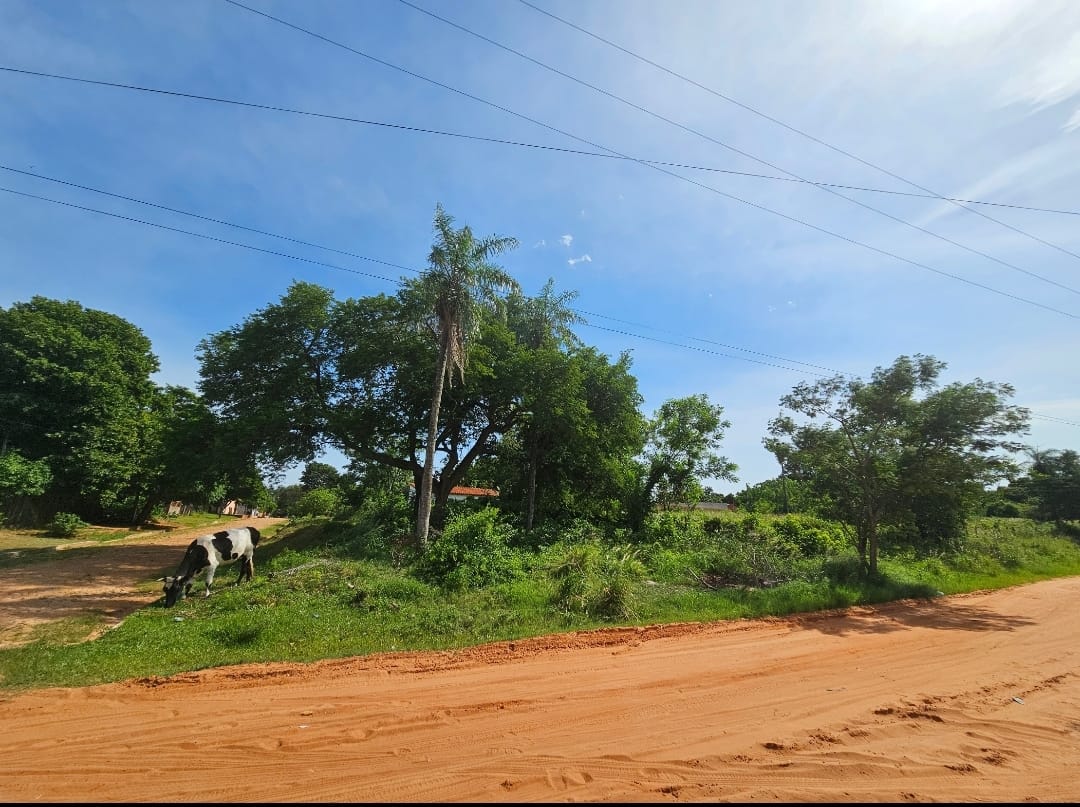 Terreno en venta en Limpio