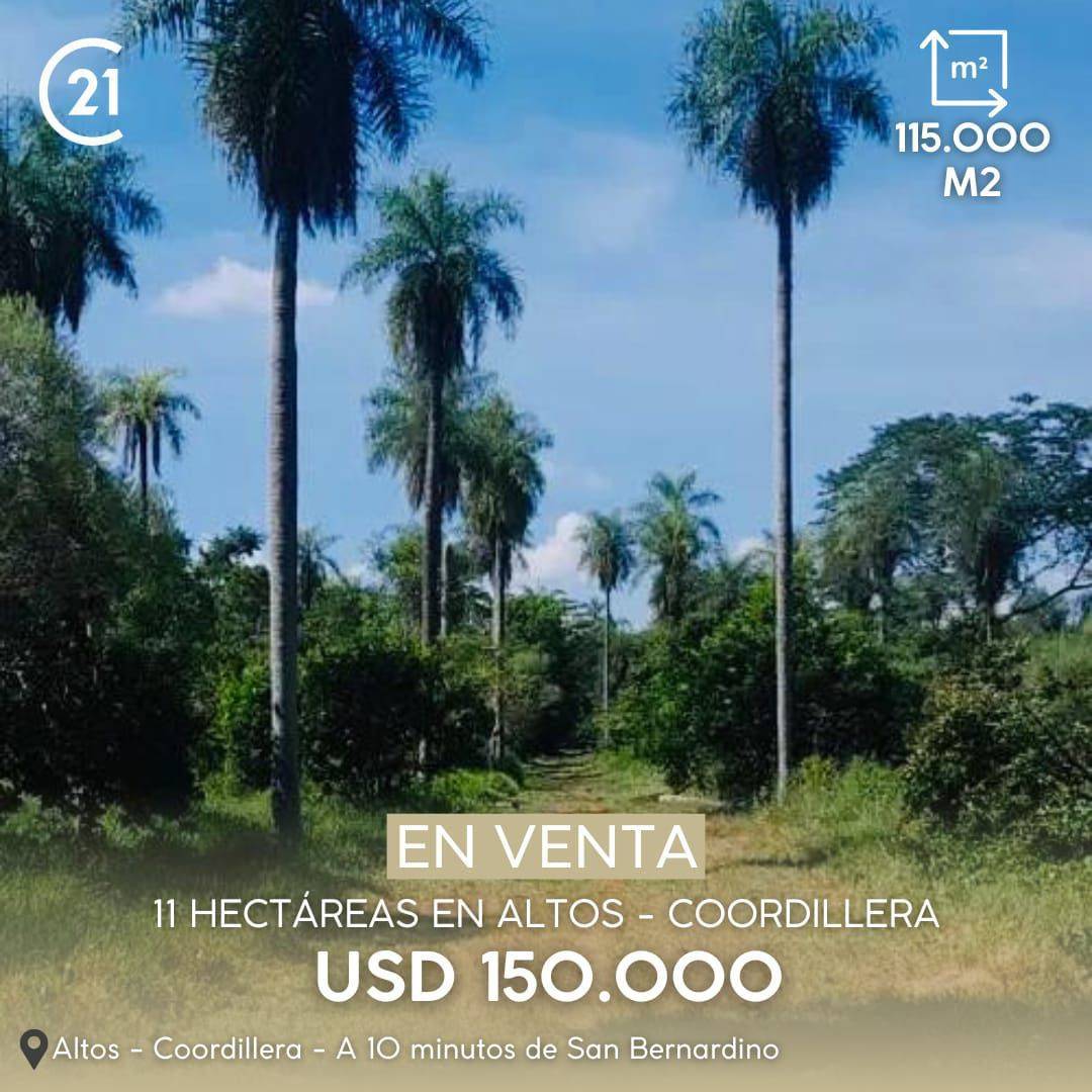 Terreno en venta en Altos