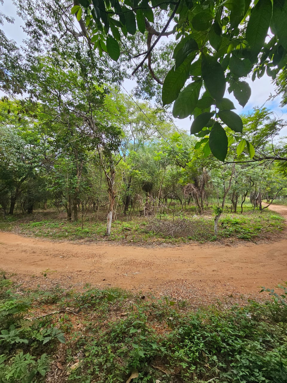 Terreno en venta en Ciervo Kua