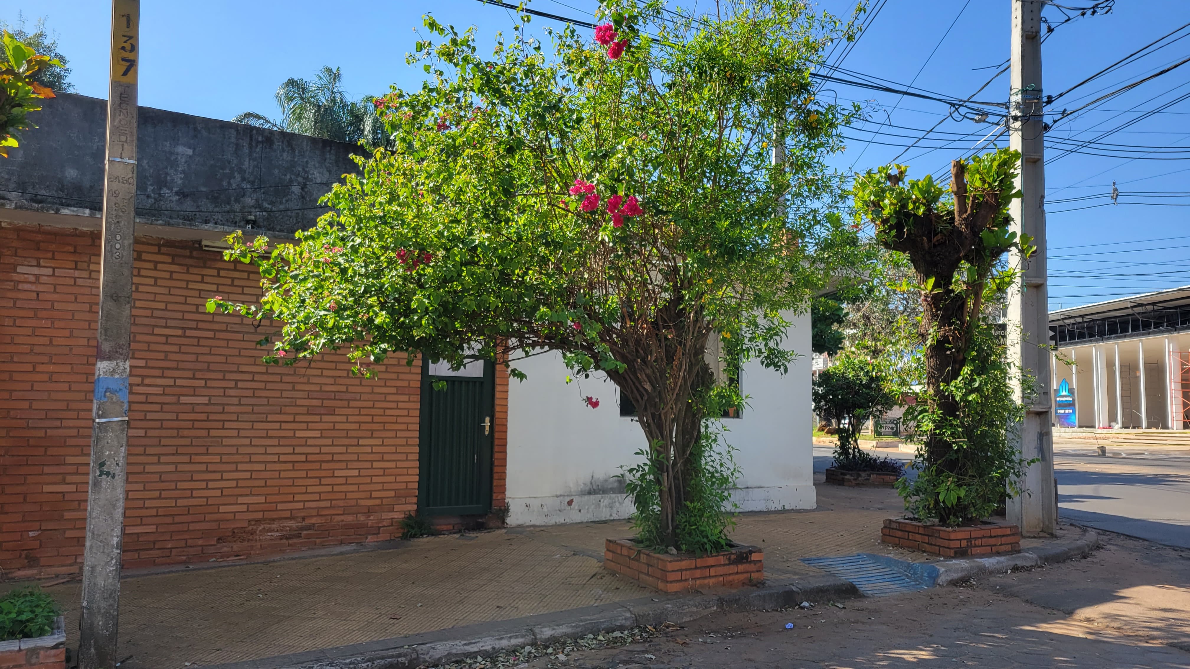 Terreno en venta en Mburucuya