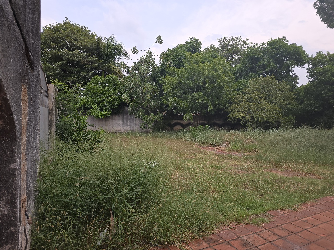 Terreno en alquiler en Santisima Trinidad