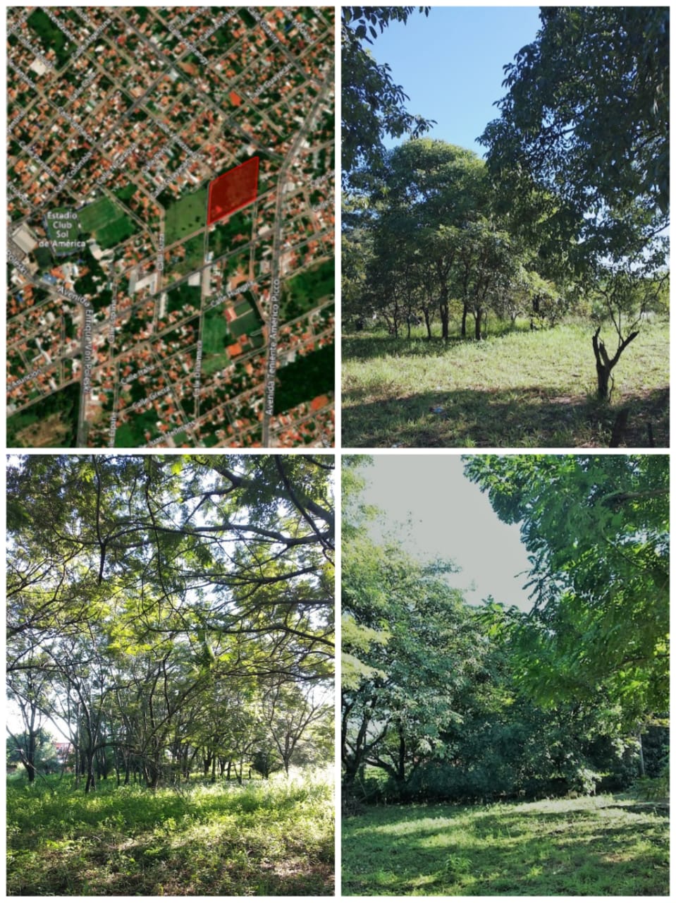 Terreno en venta en Villa Elisa